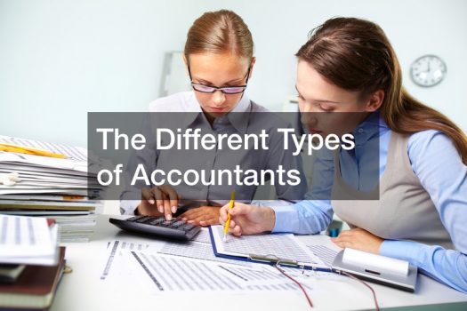 The Different Types of Accountants